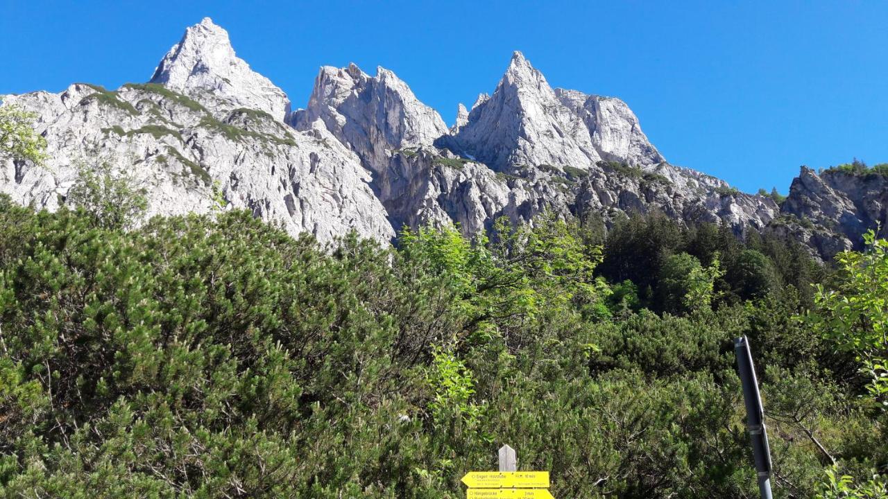 Ferienwohnungen Gaestehaus Laercheck بيرشتسغادن المظهر الخارجي الصورة