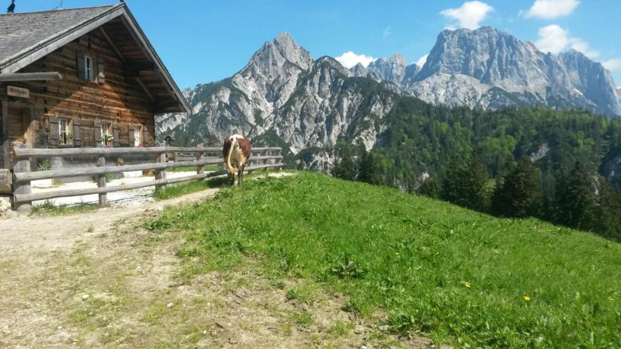 Ferienwohnungen Gaestehaus Laercheck بيرشتسغادن المظهر الخارجي الصورة