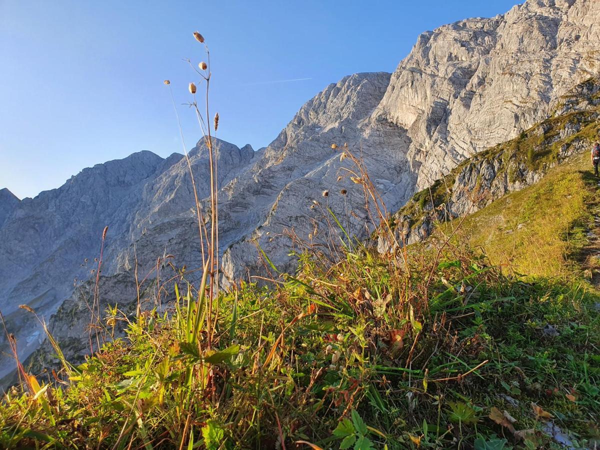 Ferienwohnungen Gaestehaus Laercheck بيرشتسغادن المظهر الخارجي الصورة